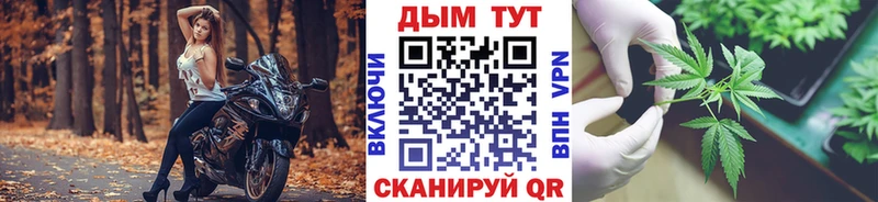 Купить наркотики цена Губкин COCAIN Канабис АМФЕТАМИН Гашиш Меф кракен A PVP