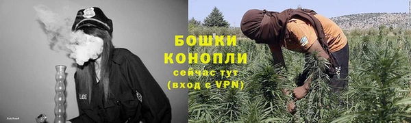 ПСИЛОЦИБИНОВЫЕ ГРИБЫ Арсеньев