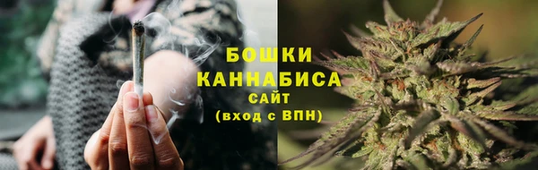 ПСИЛОЦИБИНОВЫЕ ГРИБЫ Арсеньев