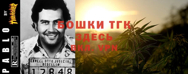 ПСИЛОЦИБИНОВЫЕ ГРИБЫ Арсеньев
