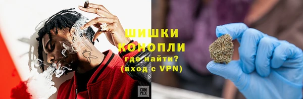 ПСИЛОЦИБИНОВЫЕ ГРИБЫ Арсеньев