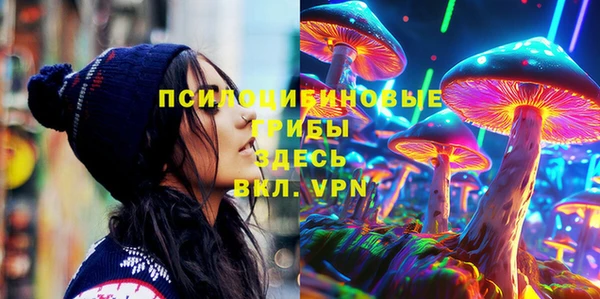 ПСИЛОЦИБИНОВЫЕ ГРИБЫ Арсеньев